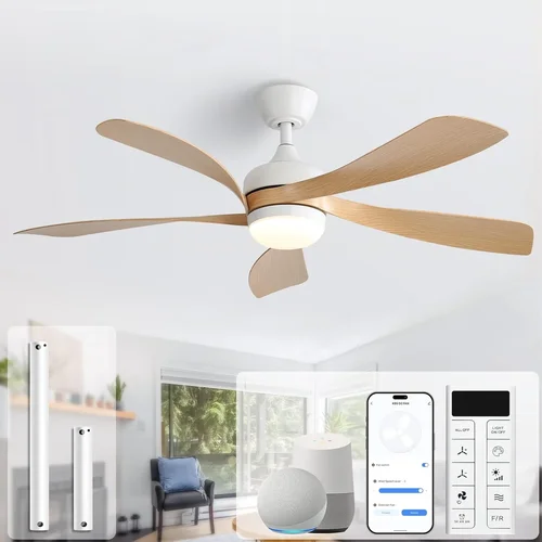 Complete Ceiling Fan Buying Guide 2026