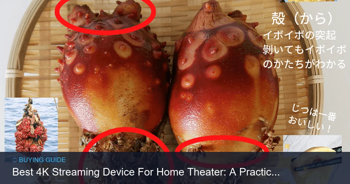 Best 4K Streaming Device For Home Theater: A Practical Guide