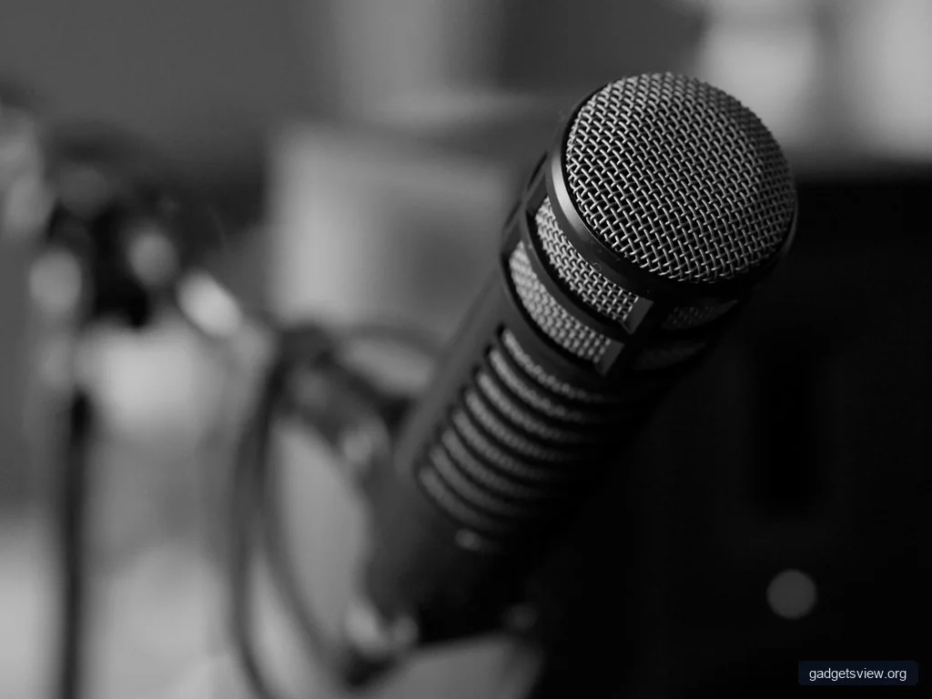 Studio Microphone